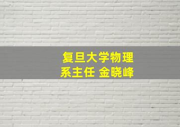 复旦大学物理系主任 金晓峰